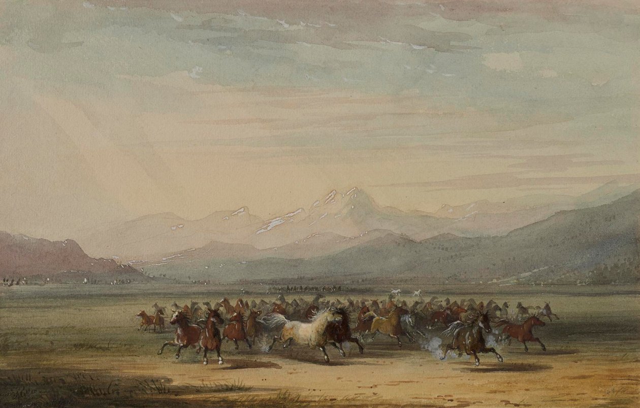 Debandada de cavalos selvagens de Alfred Jacob Miller