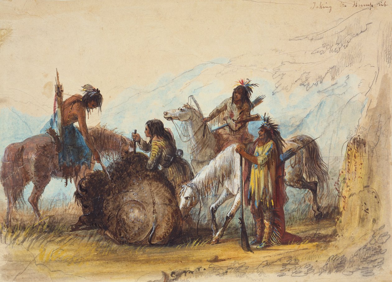 Tomando a Costela Hump, c.1858 (lápis, aguarela e guache sobre papel) de Alfred Jacob Miller