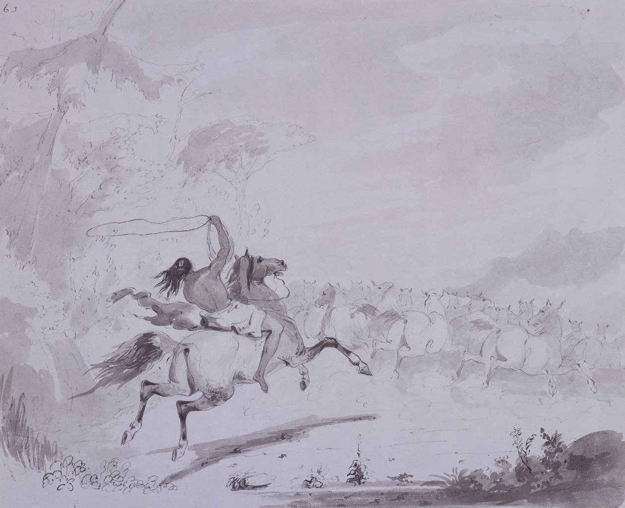 Throwing the Lasso, c.1837 (caneta e tinta com lavagem cinza em cartão cinza) de Alfred Jacob Miller