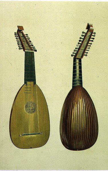 Alaúde, italiano de Alfred James Hipkins