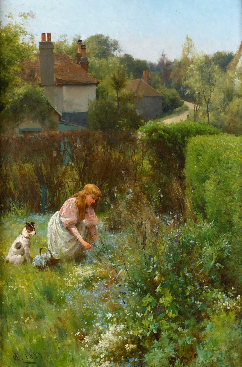 Escolhendo Flores Silvestres na Hedgerow, 1895 de Alfred, Jr. Glendening