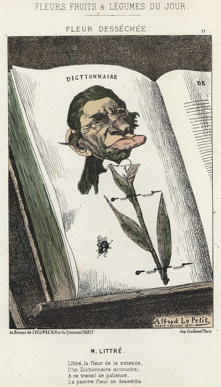 Déséchée flower: cartoon on Littré - ill. from 01/02/1871 in " Flores, Fruits and Vegetables of the Day" (Flores, Frutas e Legumes do Dia) de Alfred Le Petit