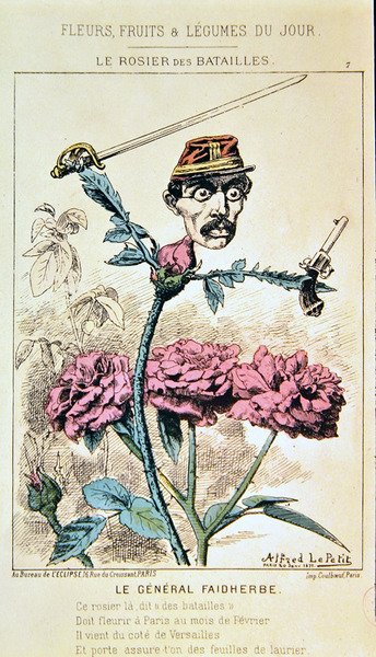 General Louis Faidherbe, da série de desenhos animados "Fleurs, Fruits et Legumes du Jour" (Fleurs, Fruits et Legumes du Jour) de Alfred Le Petit