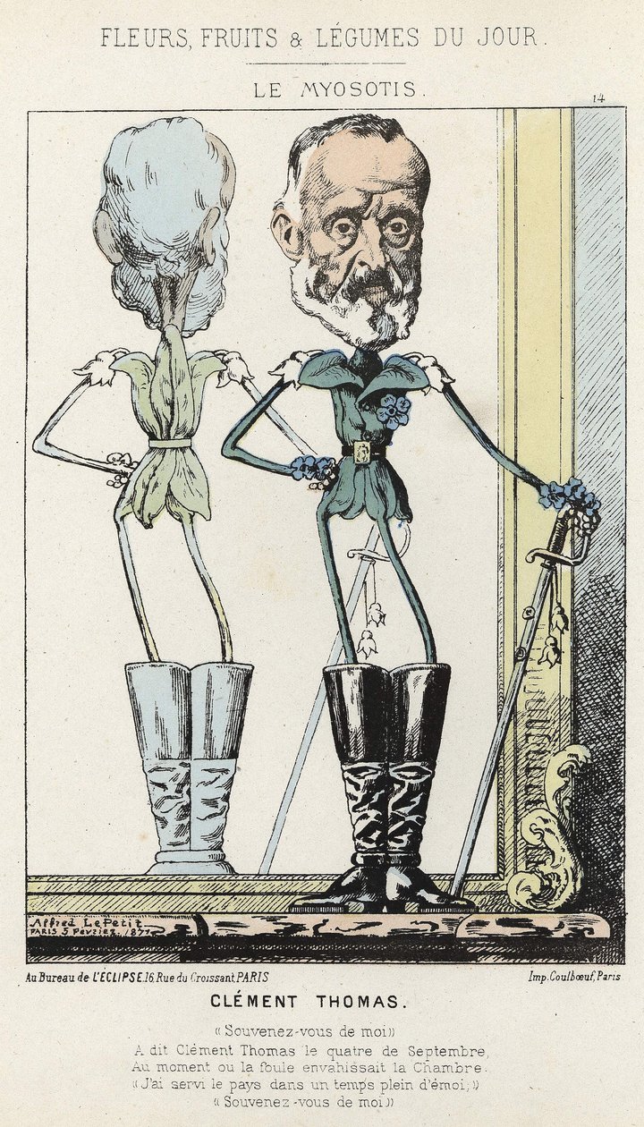 Le Myosotis: caricatura sobre Clément Thomas - doente. de 02/03/1871 em " Flores, Frutas e Legumes do Dia". de Alfred Le Petit