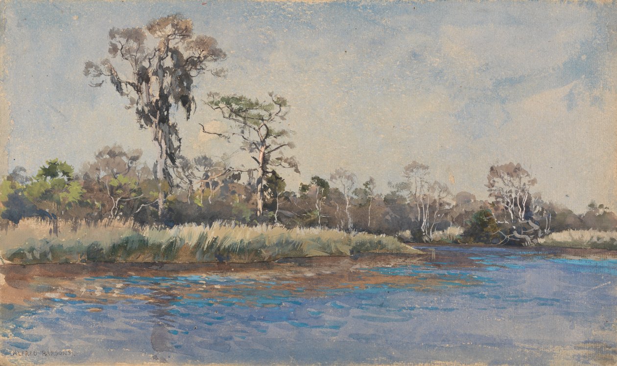 Um riacho em Wilmington, N.C. de Alfred Parsons