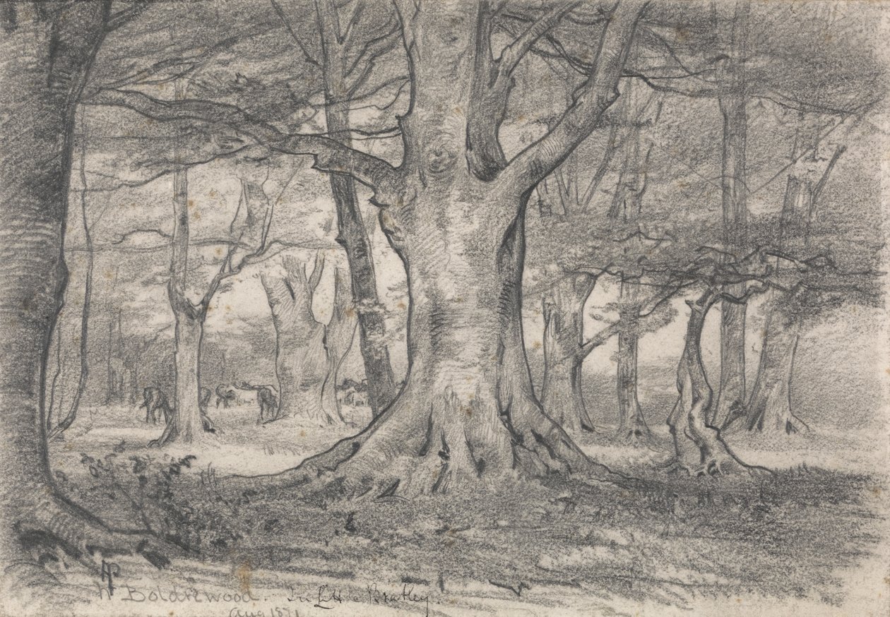 Uma Paisagem Florestal perto de Boldrewood de Alfred Parsons