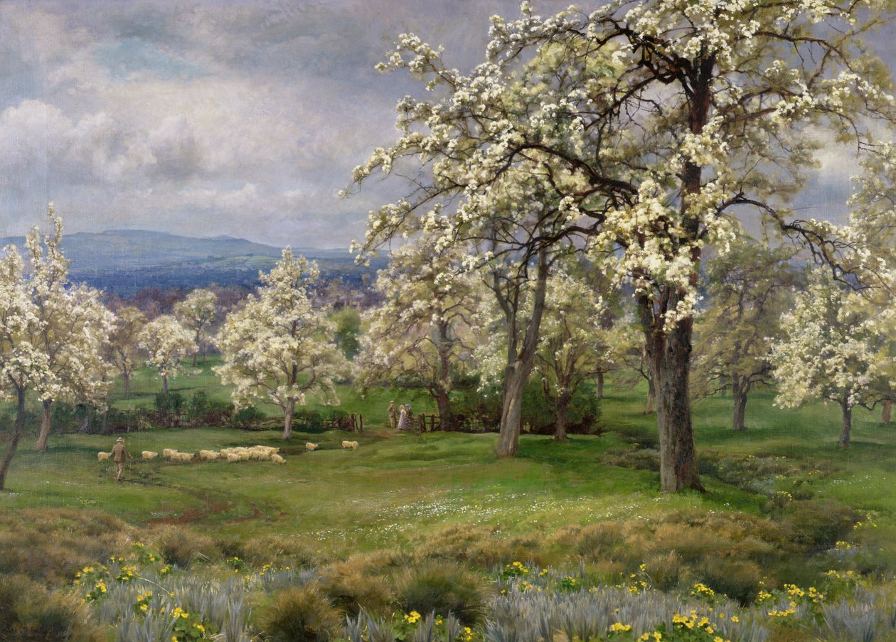 O pomar de pêra, c.1903 de Alfred Parsons