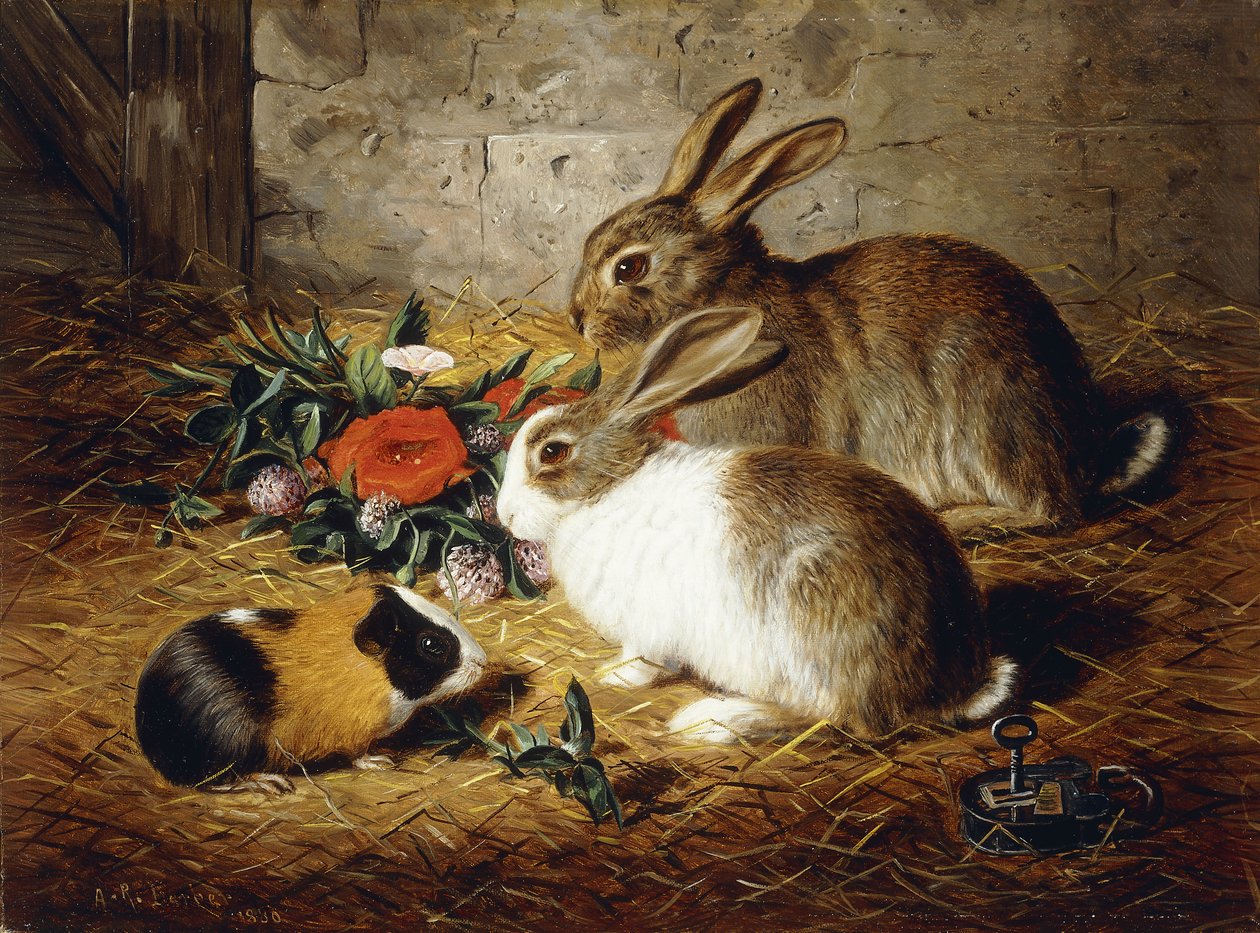 Escapado: Dois Coelhos e Cobaia, 1880 de Alfred R. Barber