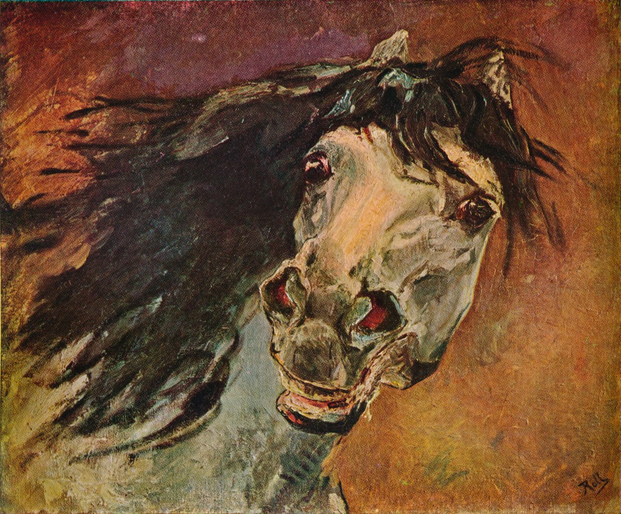 Cabeça de cavalo andaluz, c1910 de Alfred Roll