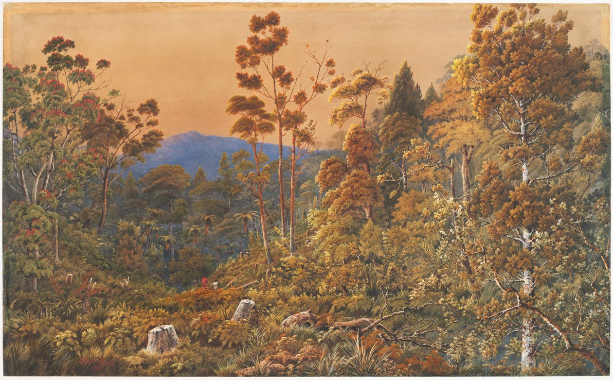 Uma véspera de ouro, Ilha Waiheke de Alfred Sharpe