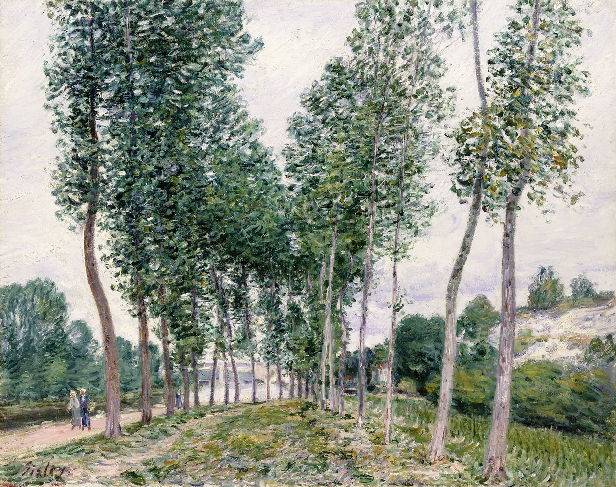 Beco de choupos ao longo do Loing, 1892 de Alfred Sisley