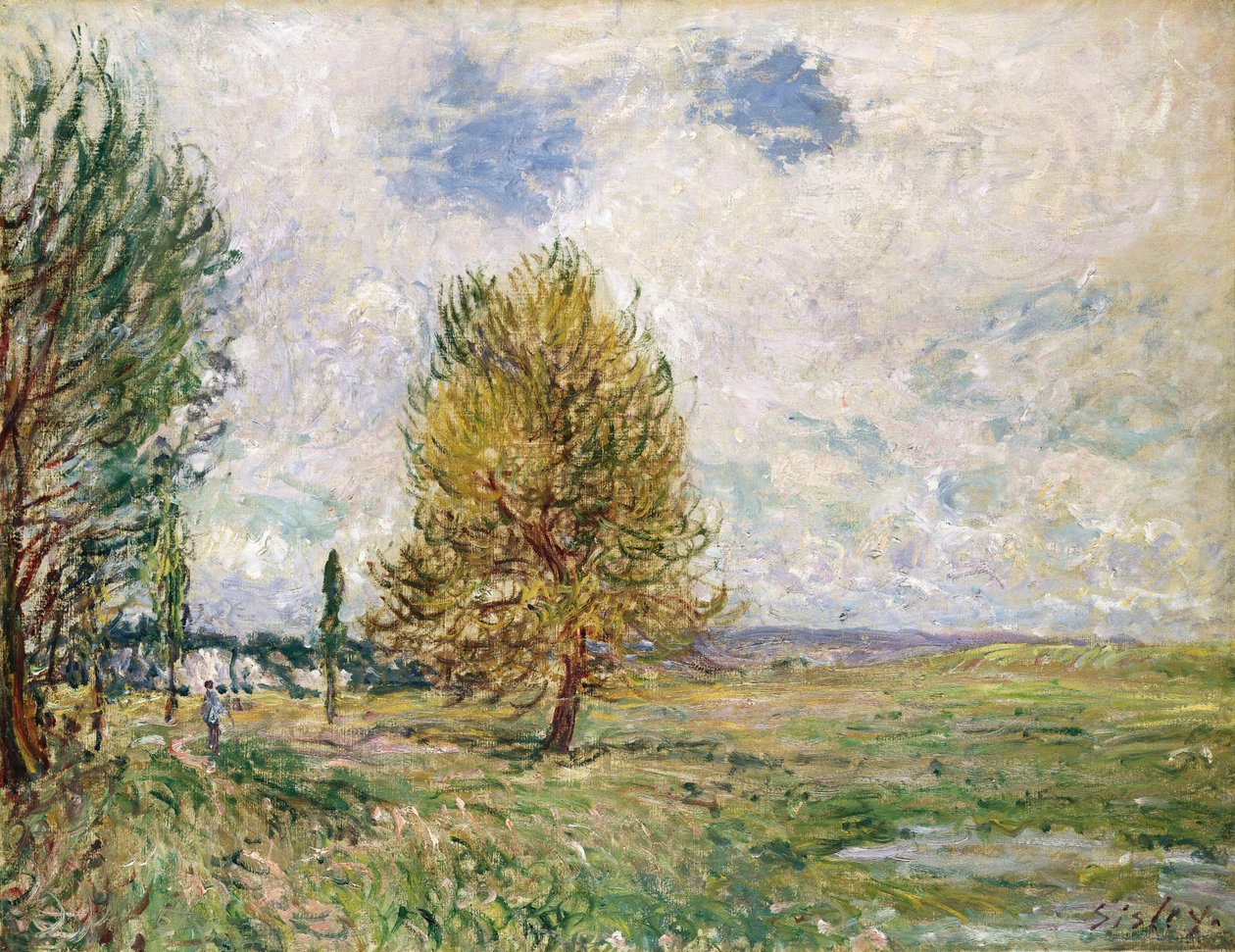 Planície de Veneux-Nadon, 1881 de Alfred Sisley