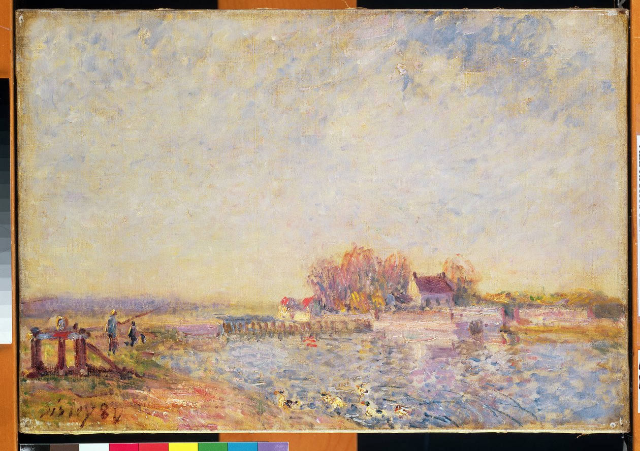 Cena do rio com patos, 1881 de Alfred Sisley
