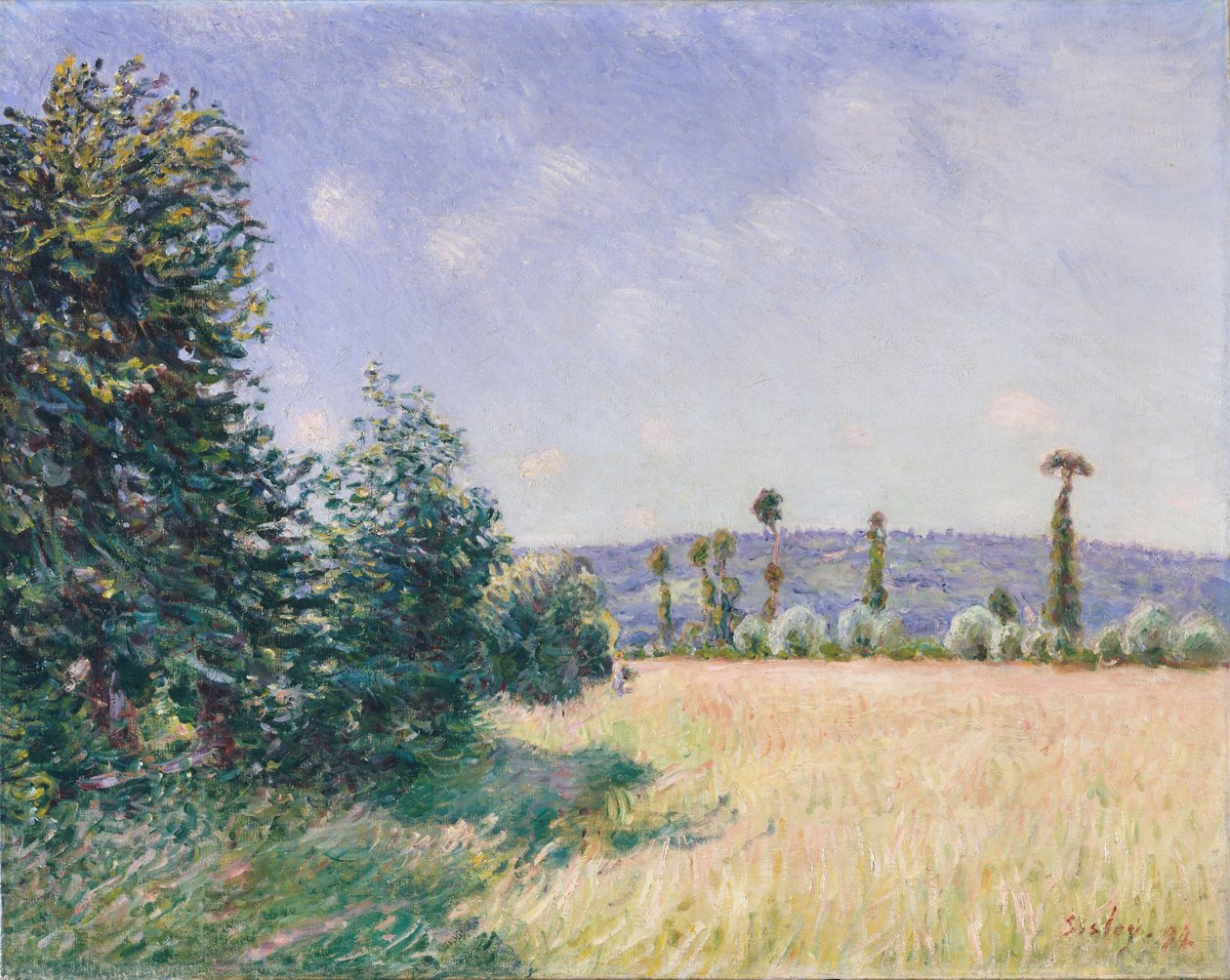 Sahurs Meadows in Morning Sun, 1894 de Alfred Sisley