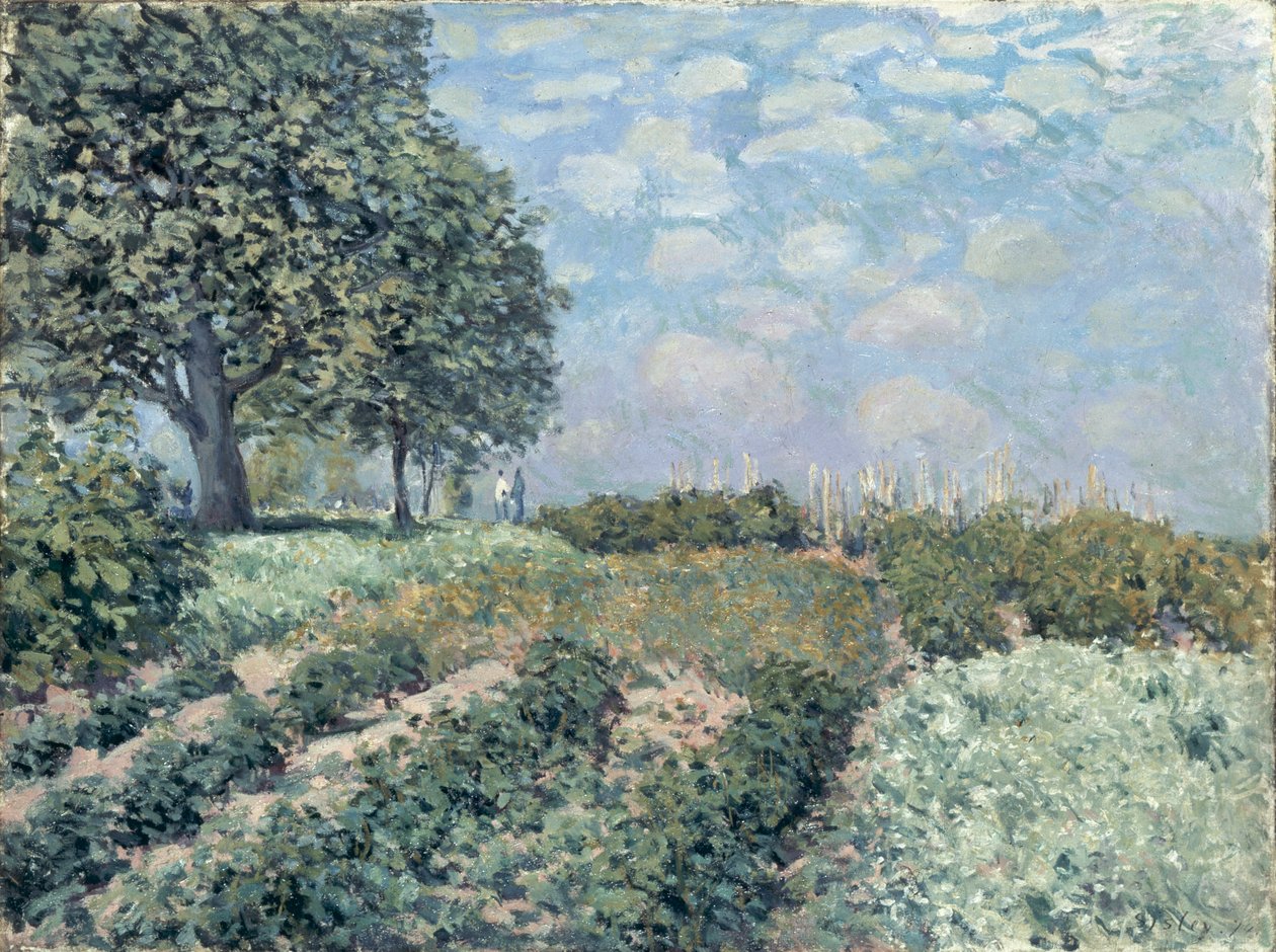 The Market Gardens de Alfred Sisley