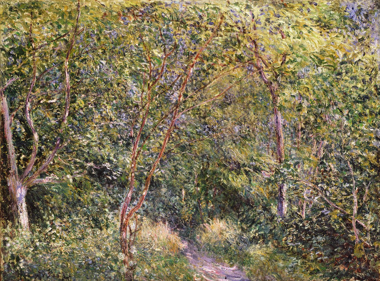 Imagem desconhecida de Alfred Sisley