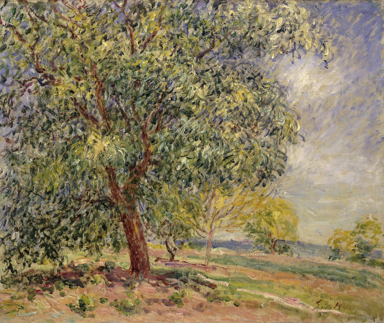 Noz em Sablons na primavera; Noyers aux Sablons, Primptemps, 1885 de Alfred Sisley