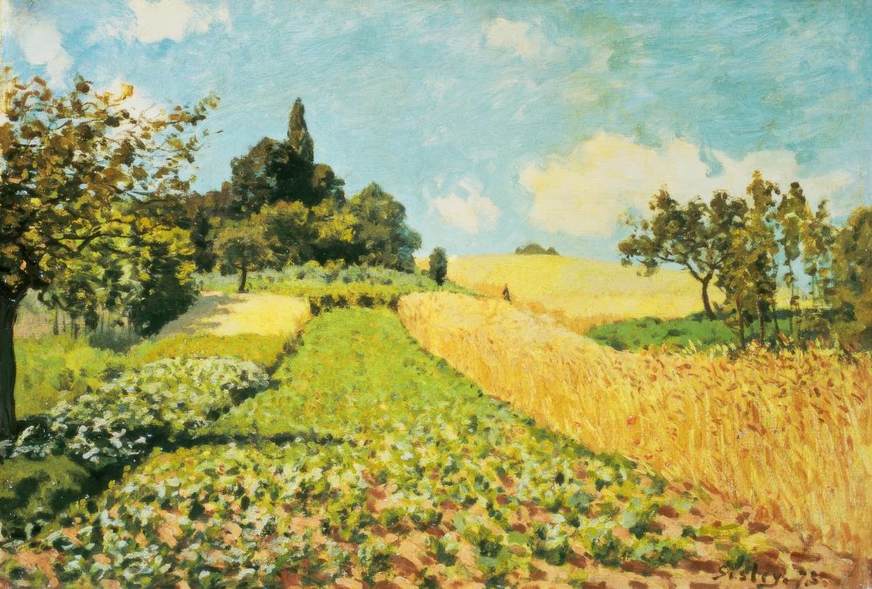 campo de trigo de Alfred Sisley