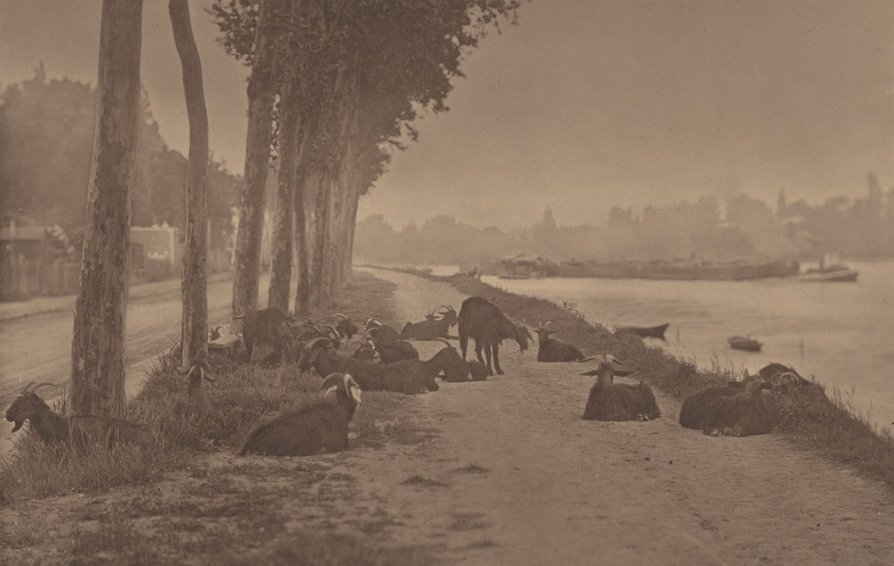 Um painel decorativo de Alfred Stieglitz