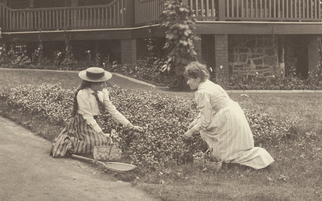 Um canteiro de flores em Oaklawn de Alfred Stieglitz