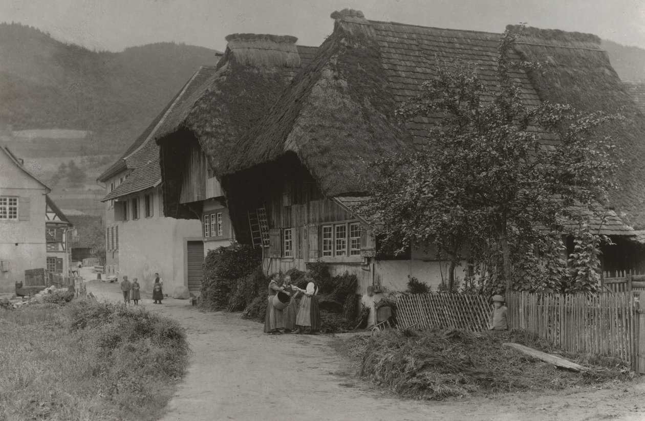 Uma reunião em Gutach de Alfred Stieglitz