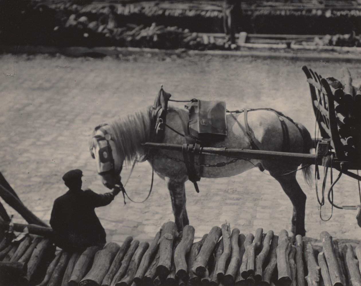 Um instantâneo, Paris de Alfred Stieglitz