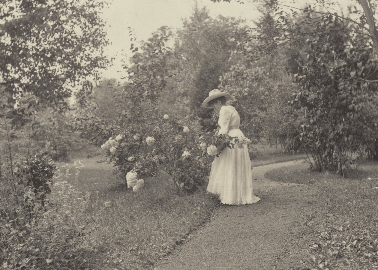 Em Oaklawn de Alfred Stieglitz