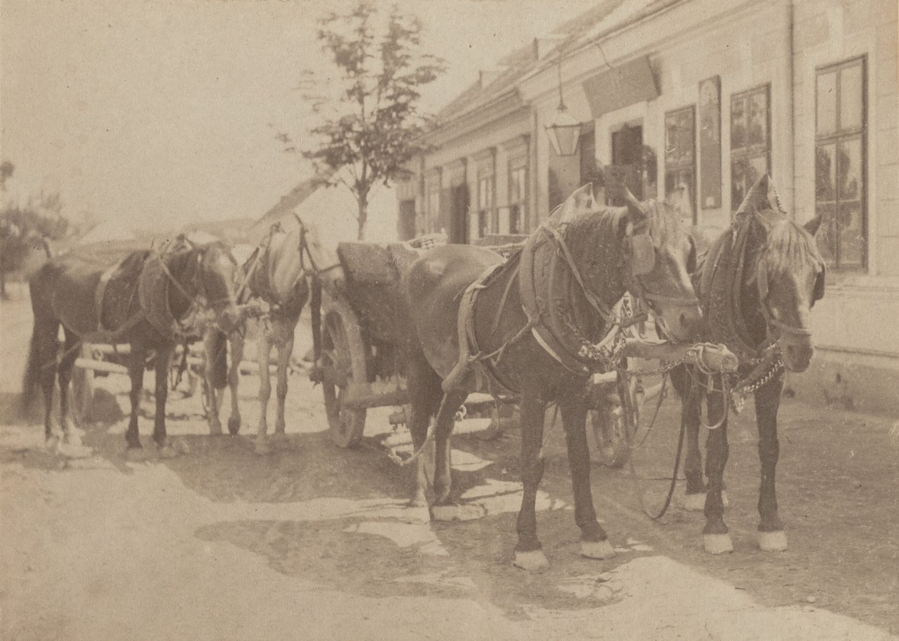 Em frente à taberna de Alfred Stieglitz
