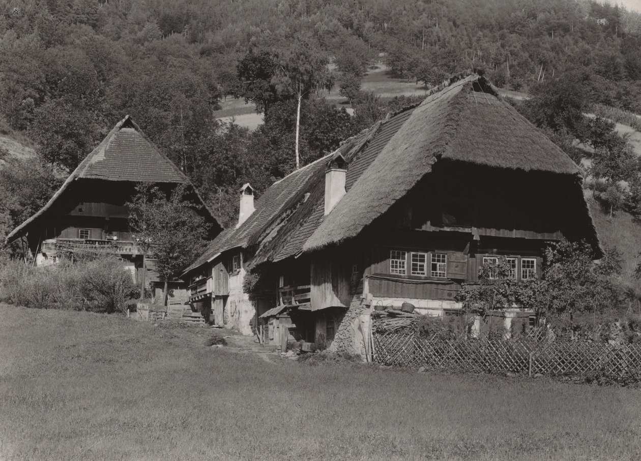 Casa da Floresta Negra de Alfred Stieglitz