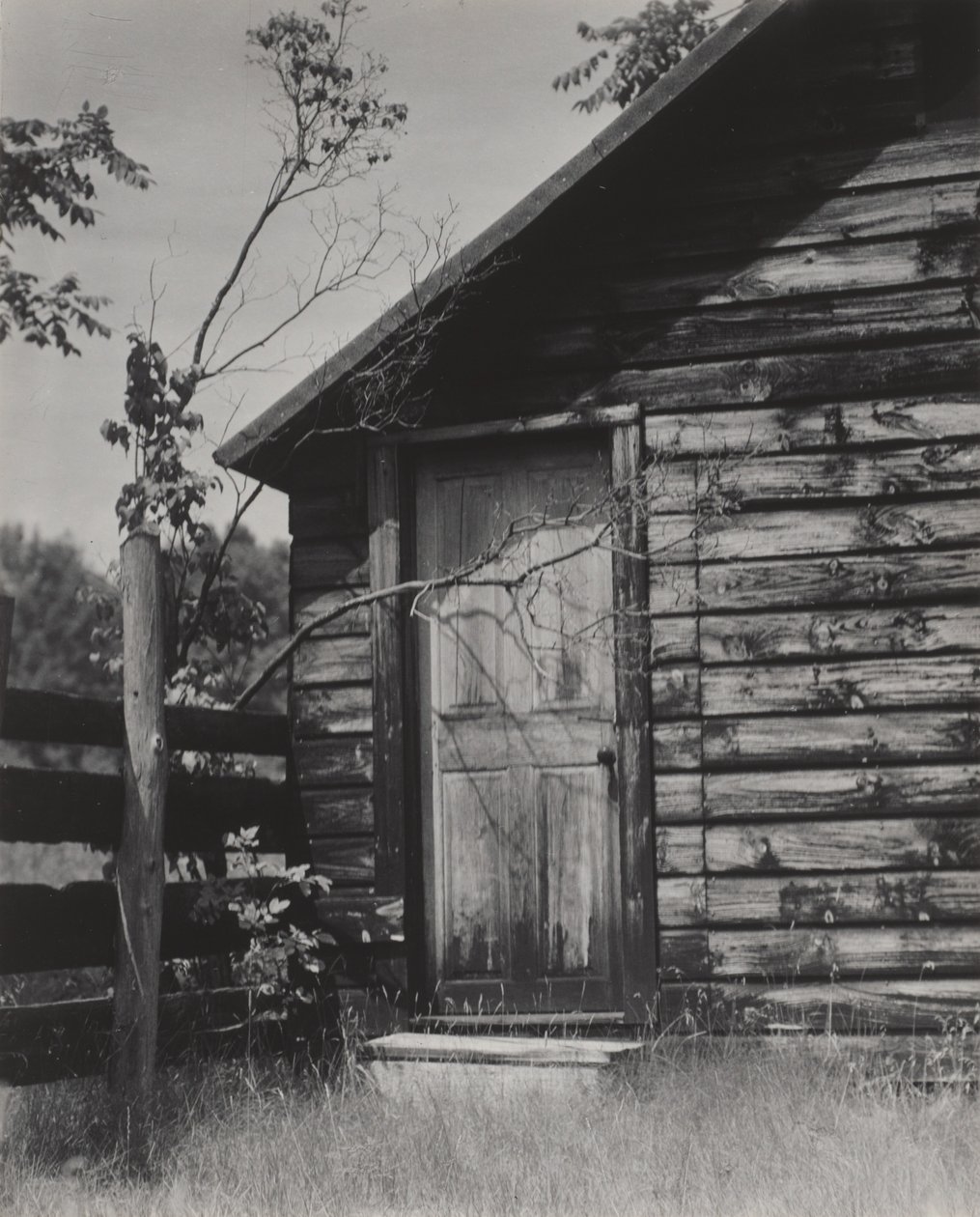 Porta de uma cabana, Lago George de Alfred Stieglitz