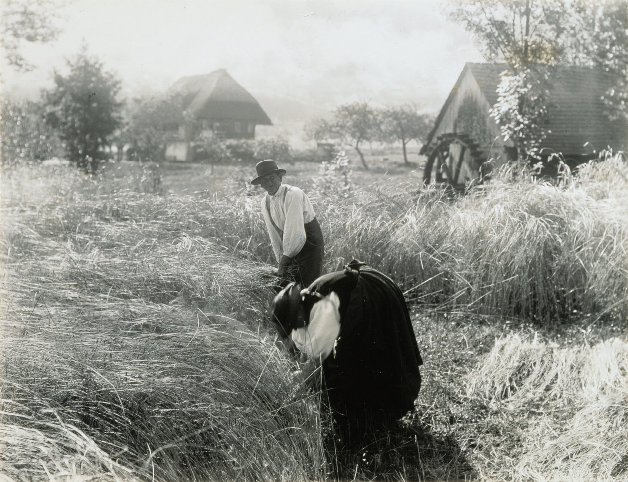 De manhã cedo de Alfred Stieglitz