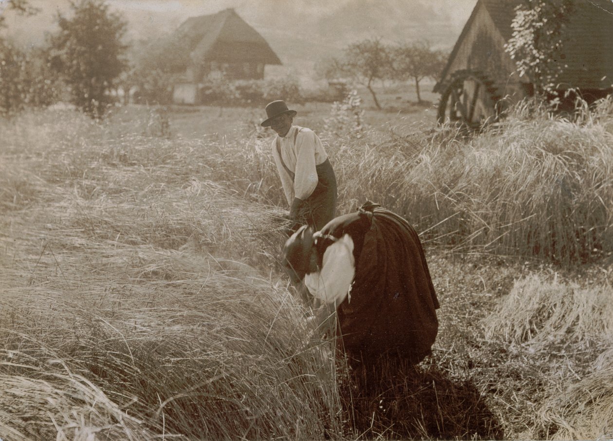 De manhã cedo de Alfred Stieglitz