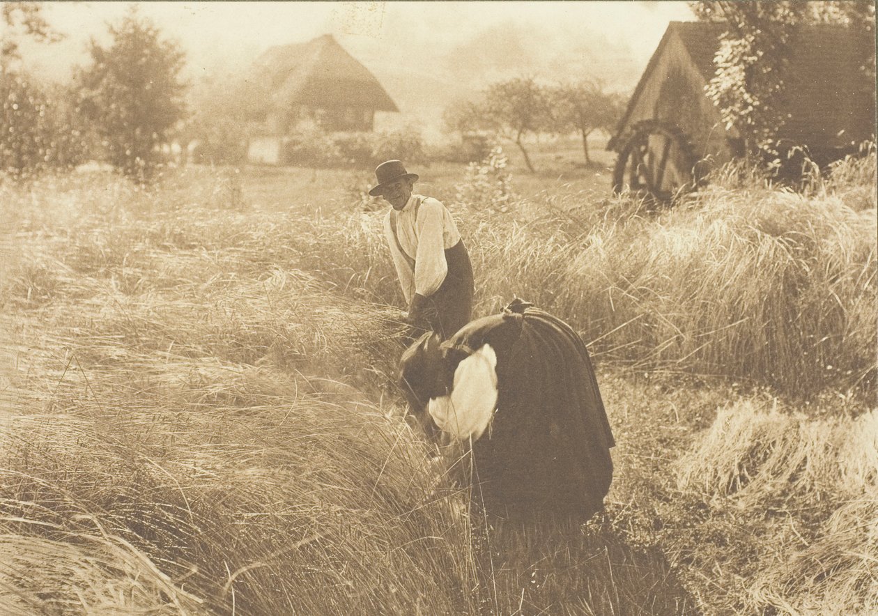 Amanhecer, 1894. de Alfred Stieglitz