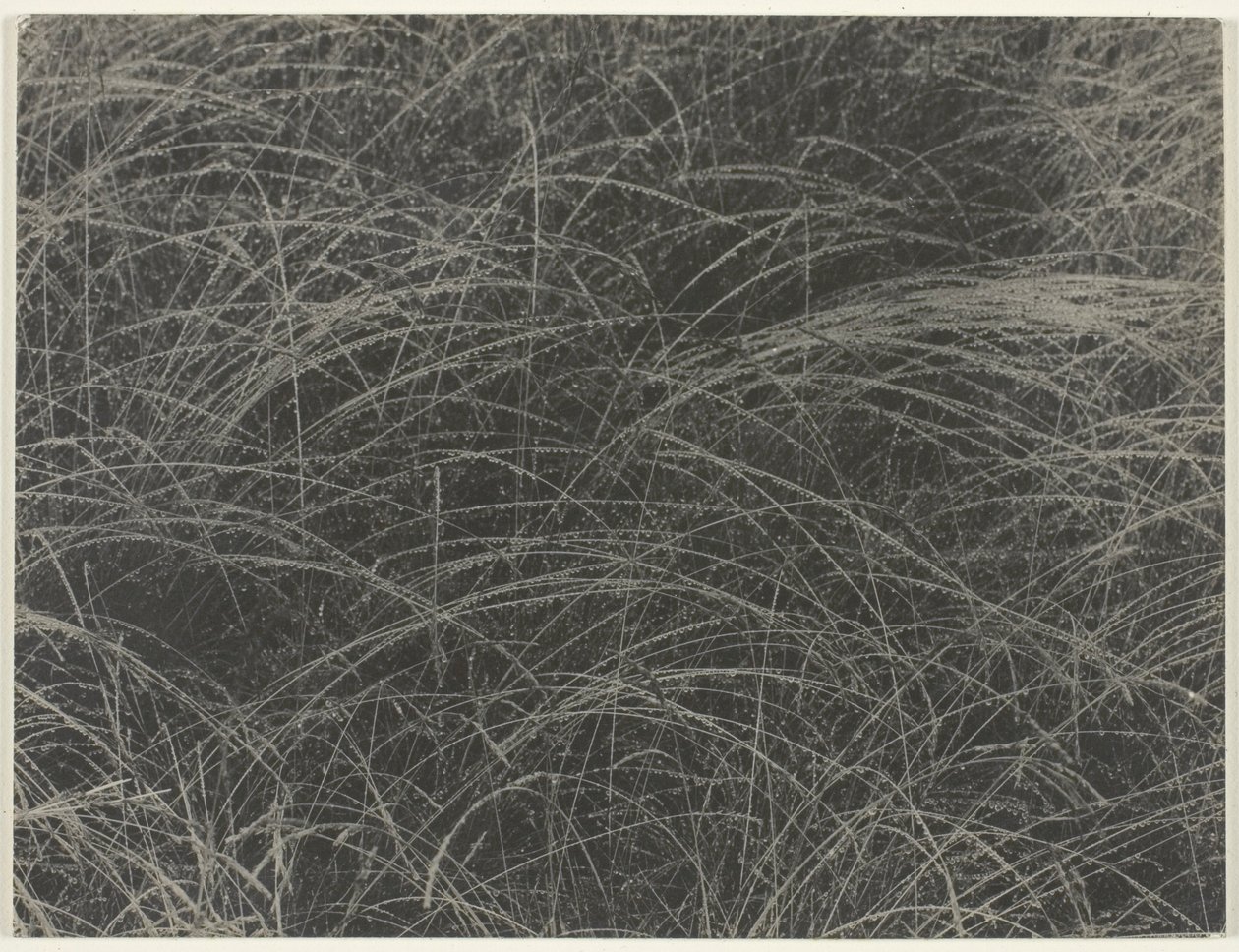 Equivalente de Alfred Stieglitz