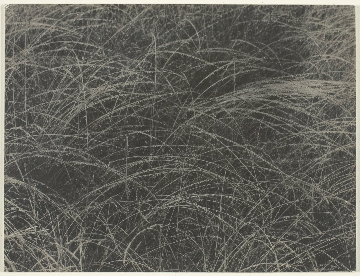 Equivalente, 1927. de Alfred Stieglitz