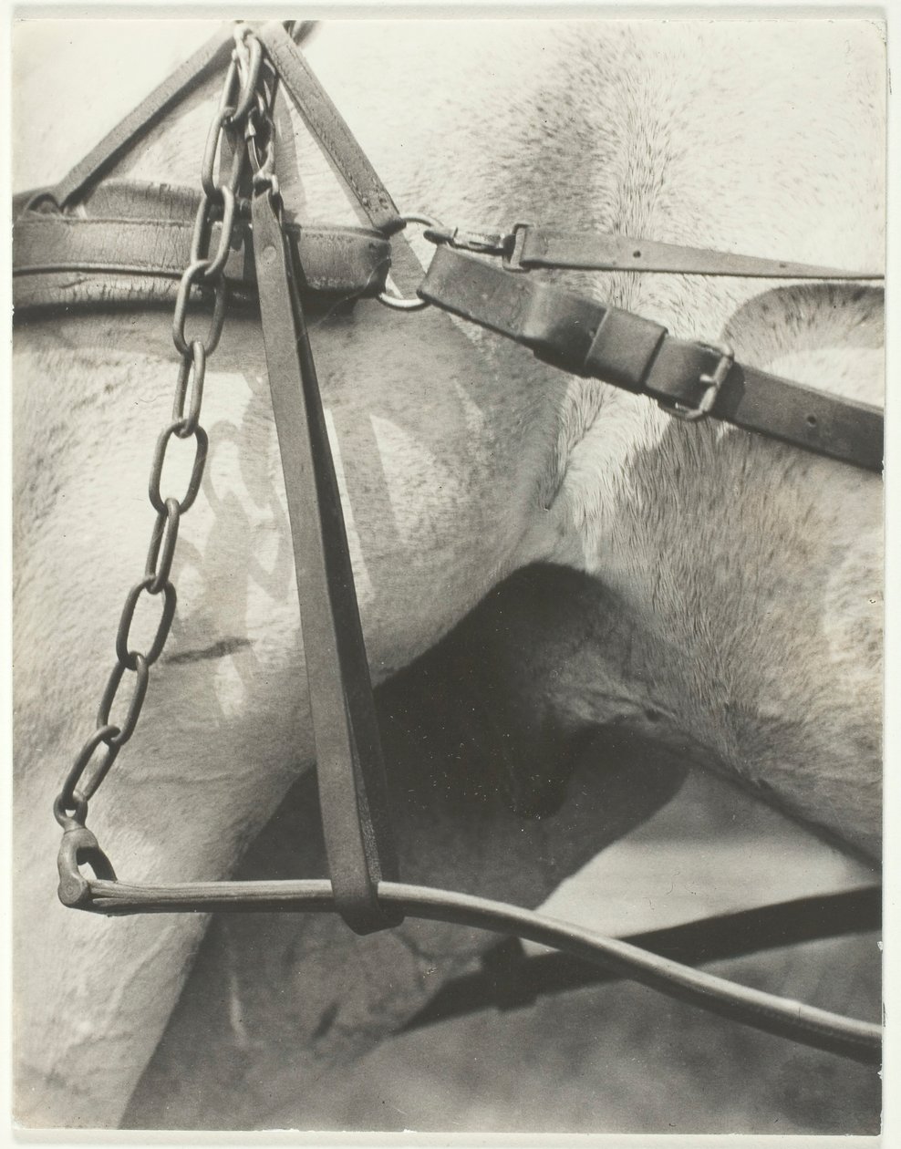 Equivalente, América Espiritual, 1923. de Alfred Stieglitz