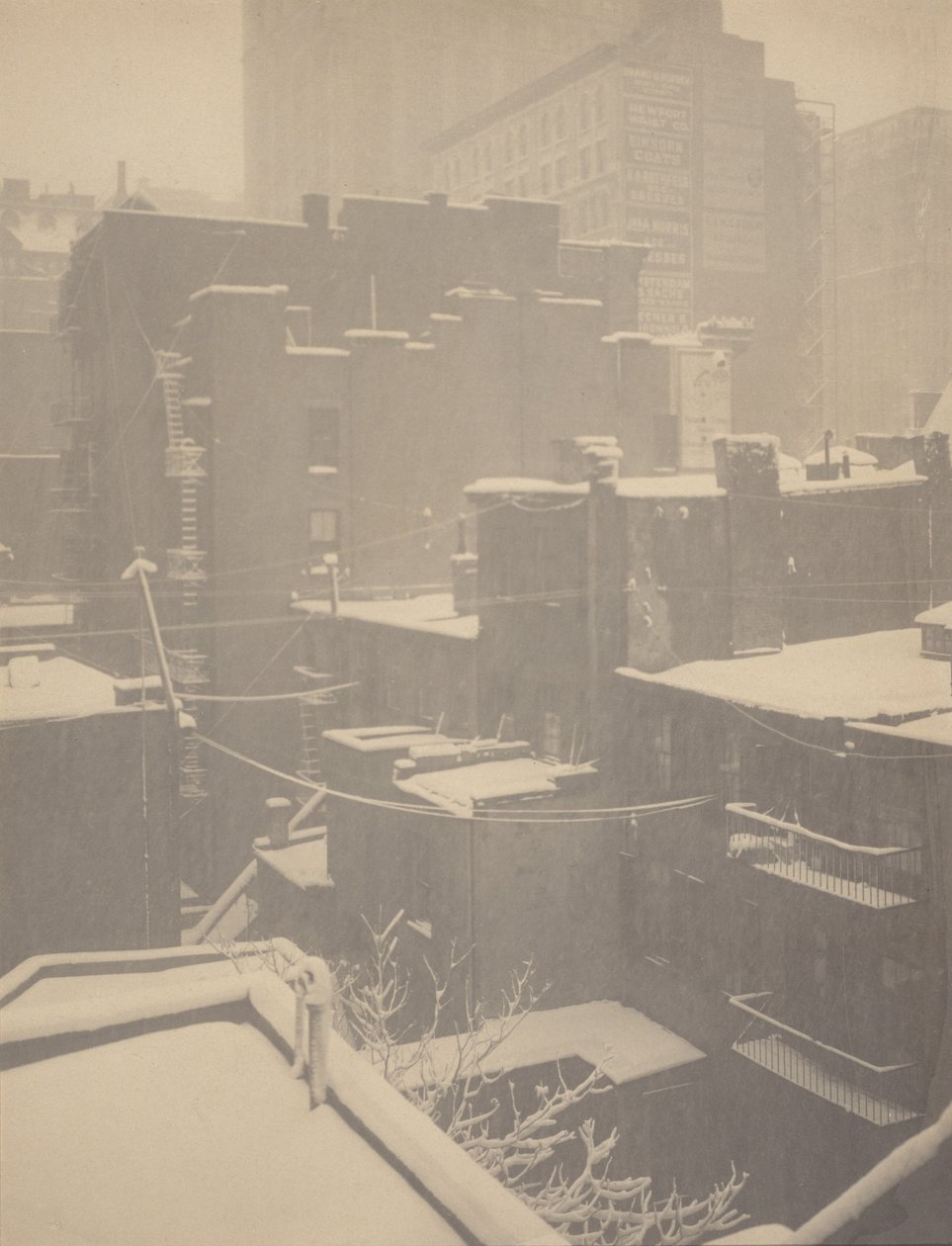 Da janela traseira - 291 de Alfred Stieglitz