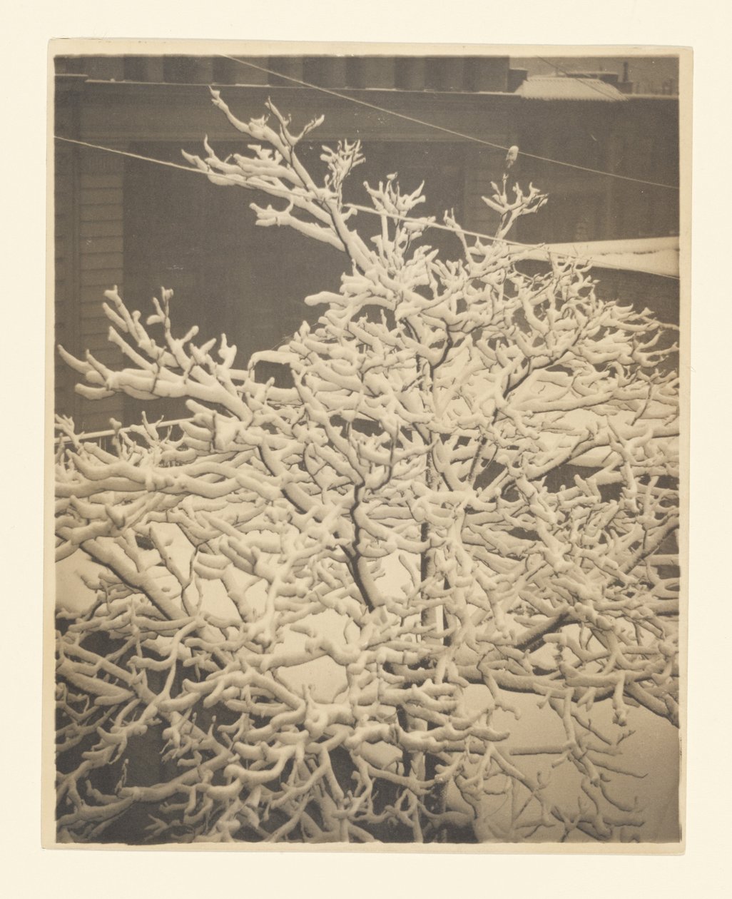 Da janela das traseiras do n.º 291 de Alfred Stieglitz