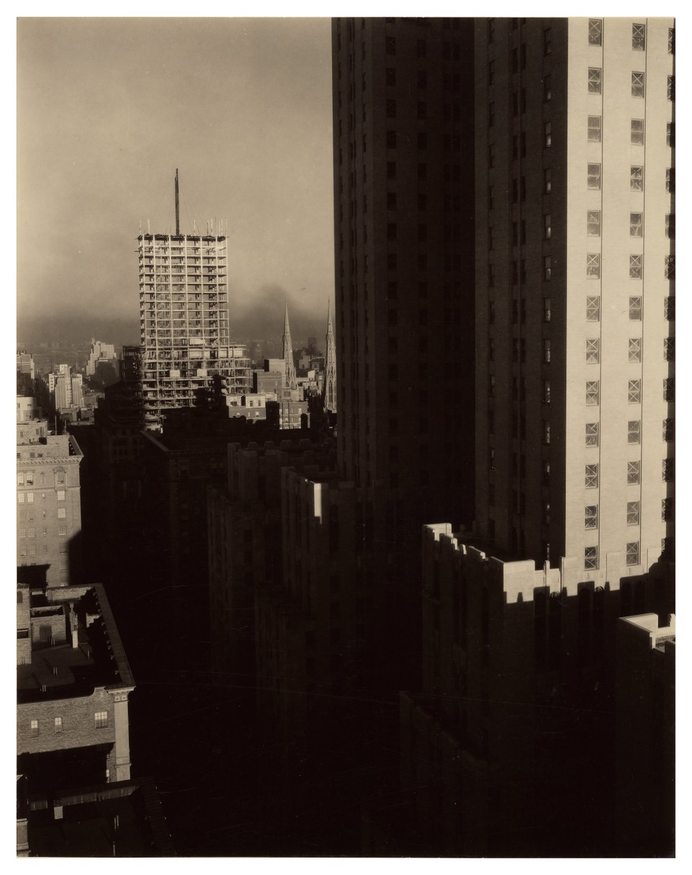 Do Shelton de Alfred Stieglitz