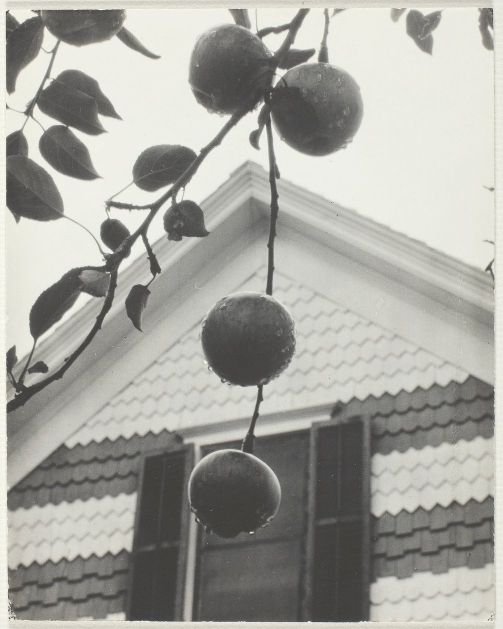 Gable e maçãs de Alfred Stieglitz