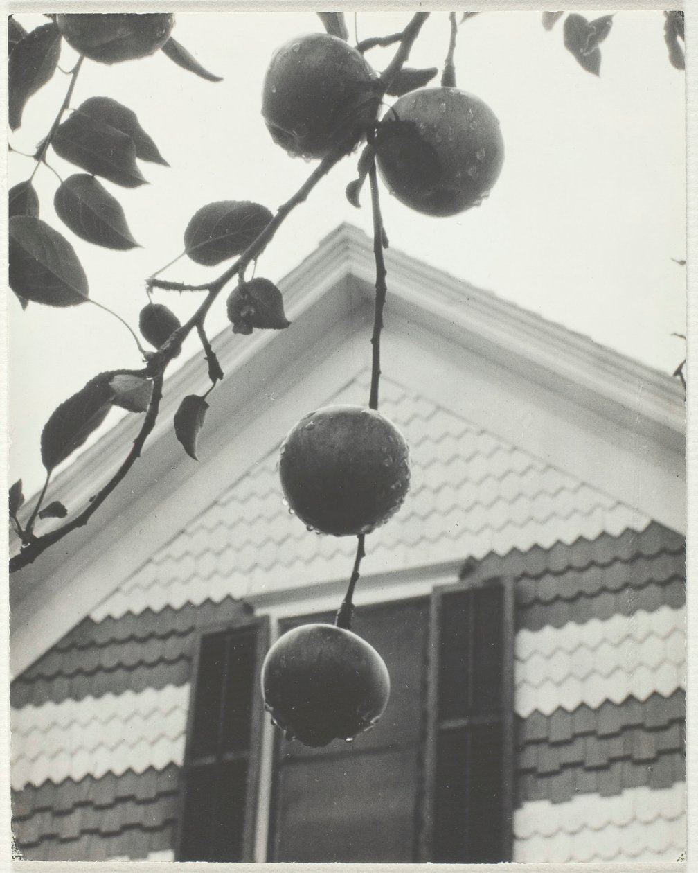 Gable e maçãs, 1922. de Alfred Stieglitz