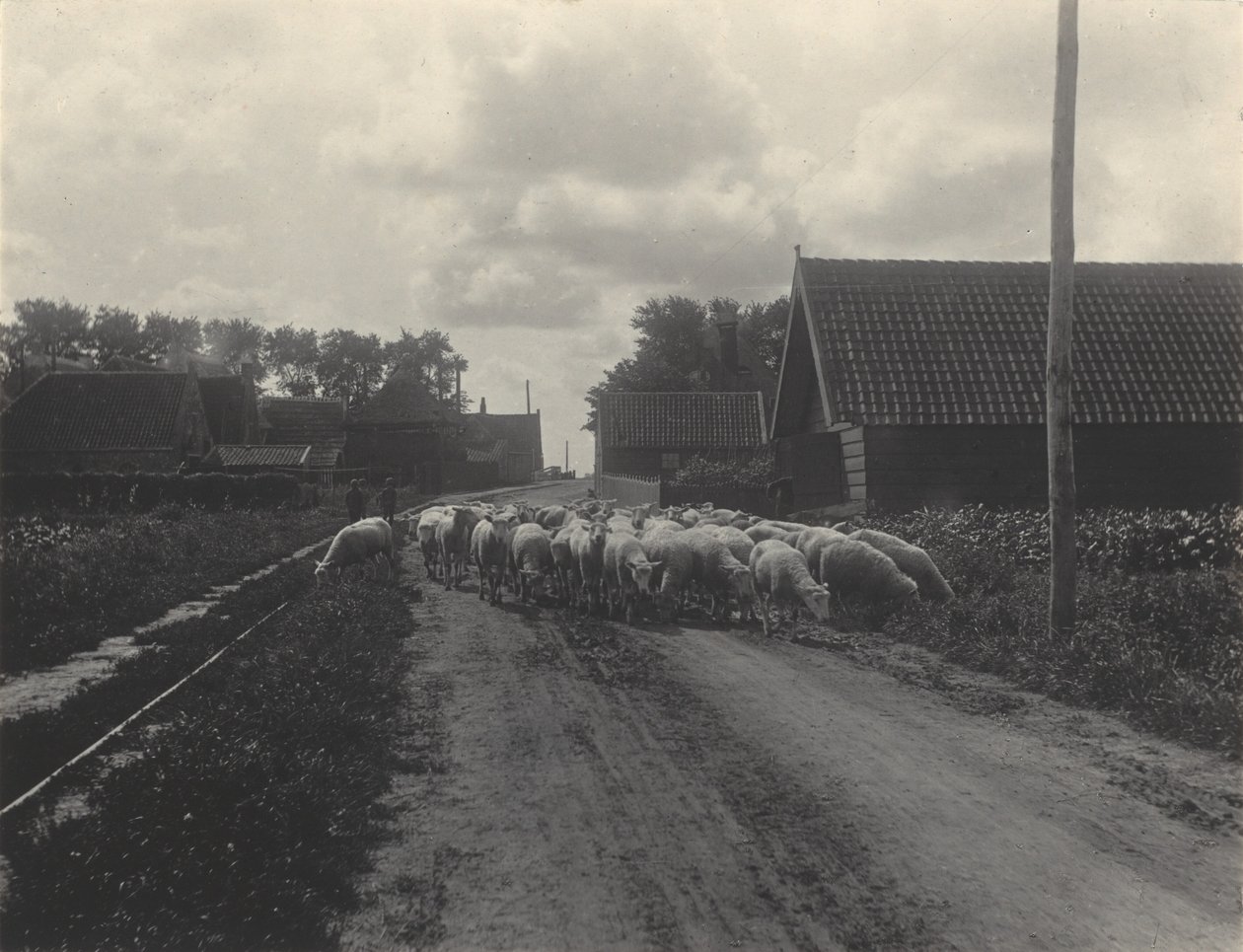 A caminho do pasto de Alfred Stieglitz
