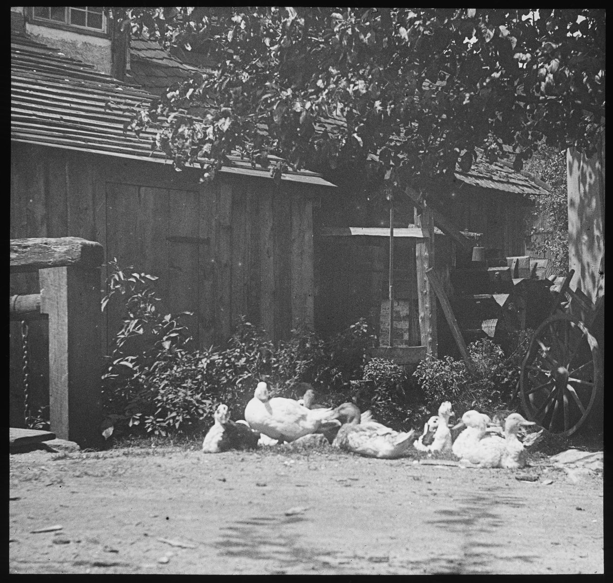 avaliação de Alfred Stieglitz