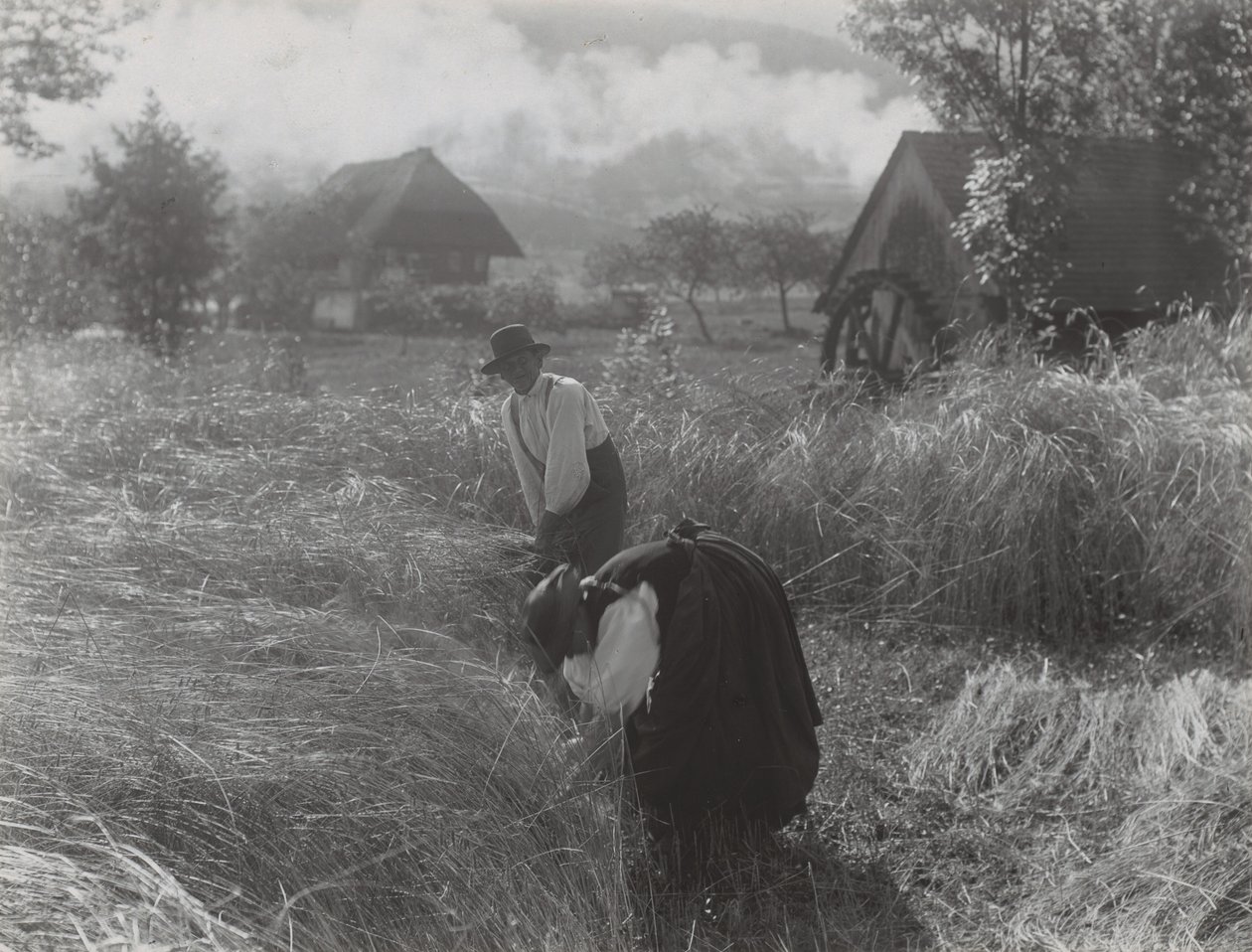 Colheita, Floresta Negra de Alfred Stieglitz