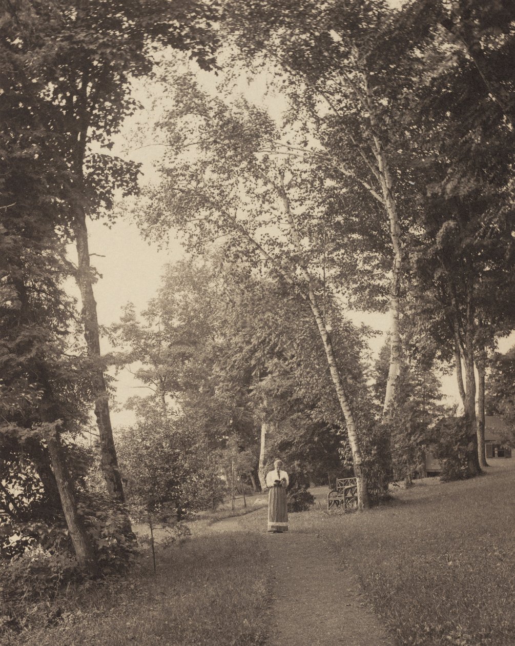 Caminho de Hedwig, Oaklawn, Lago George de Alfred Stieglitz