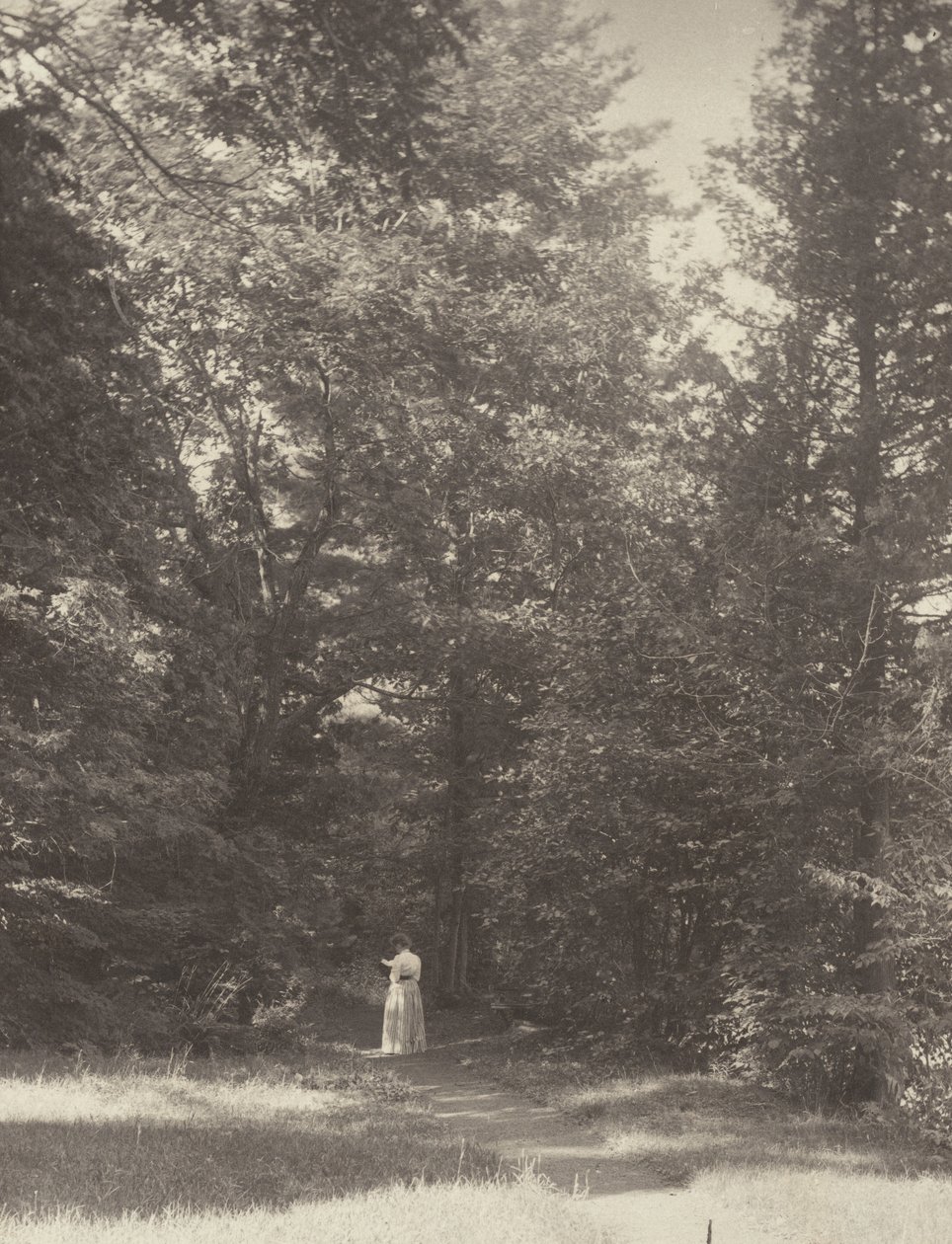 «Hedwigsweg» II, lago George de Alfred Stieglitz