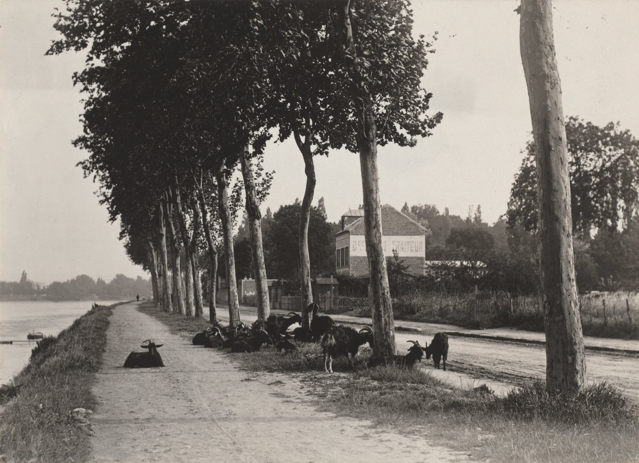 De volta a casa de Alfred Stieglitz