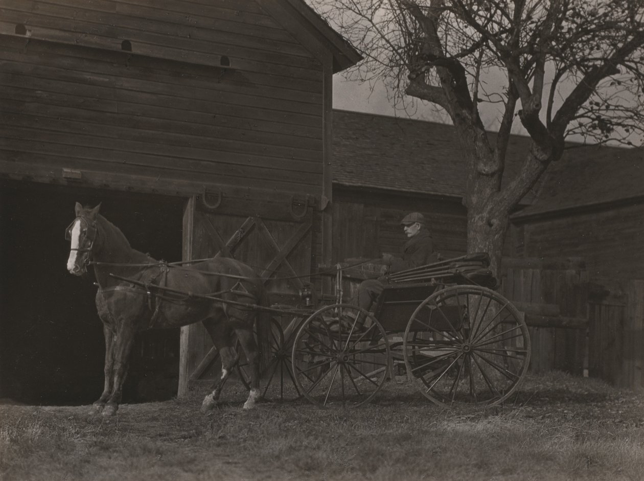 Cavalo e carruagem de Alfred Stieglitz