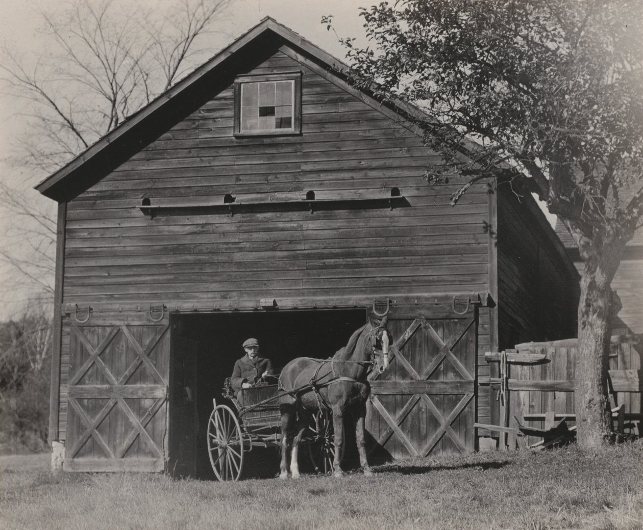 Cavalo e carruagem de Alfred Stieglitz