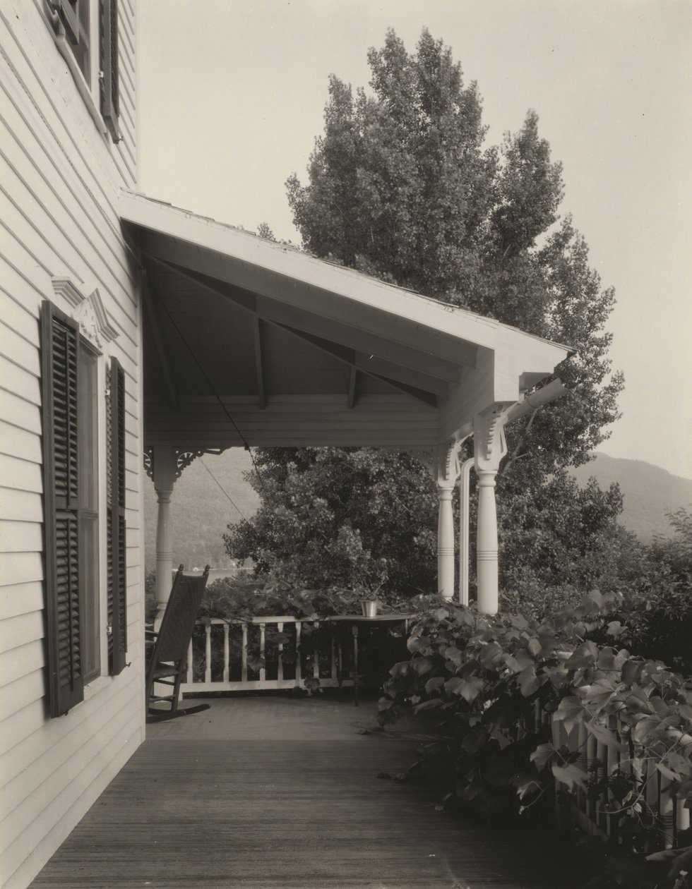 Casa, Folhas e Árvore de Alfred Stieglitz